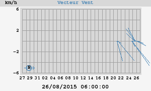 Wind Vector